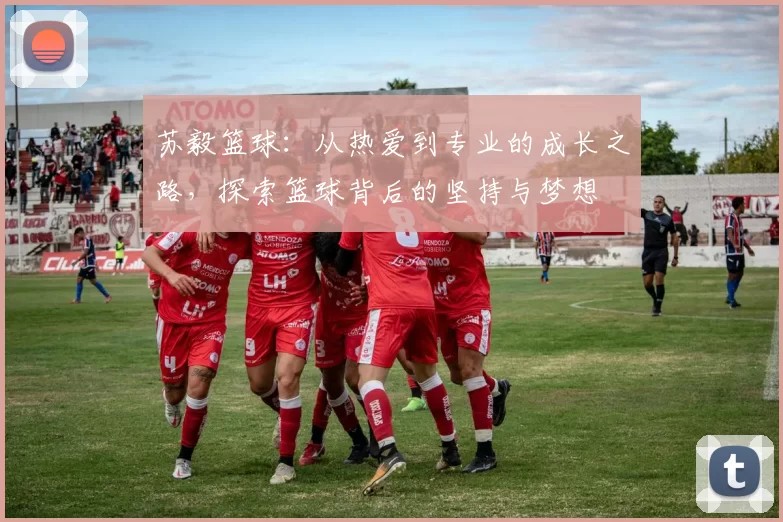 苏毅篮球：从热爱到专业的成长之路，探索篮球背后的坚持与梦想